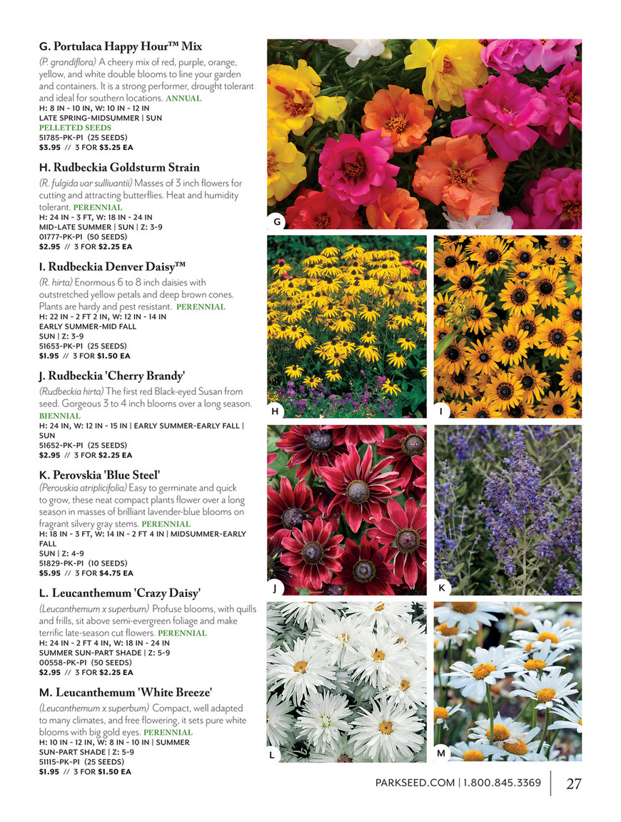 Park Seed Park Seed Flowers Bulbs 21 Rudbeckia Cherry Brandy Seeds