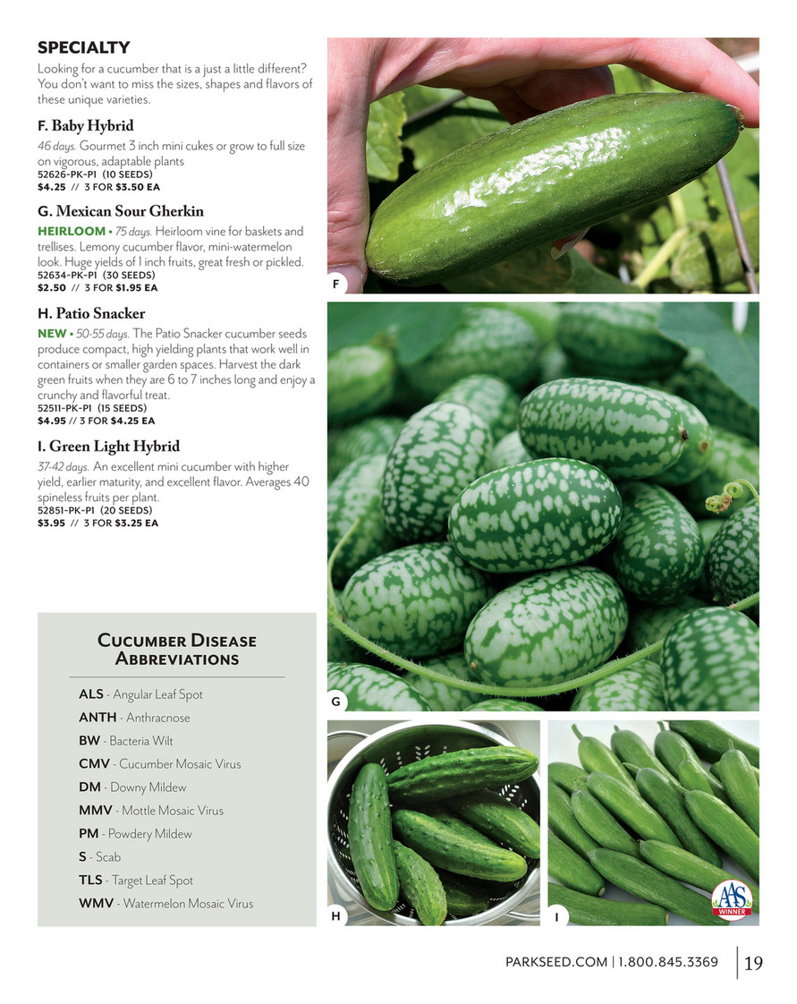Mexican Sour Gherkin (Cucamelon) - Cucumber Seeds
