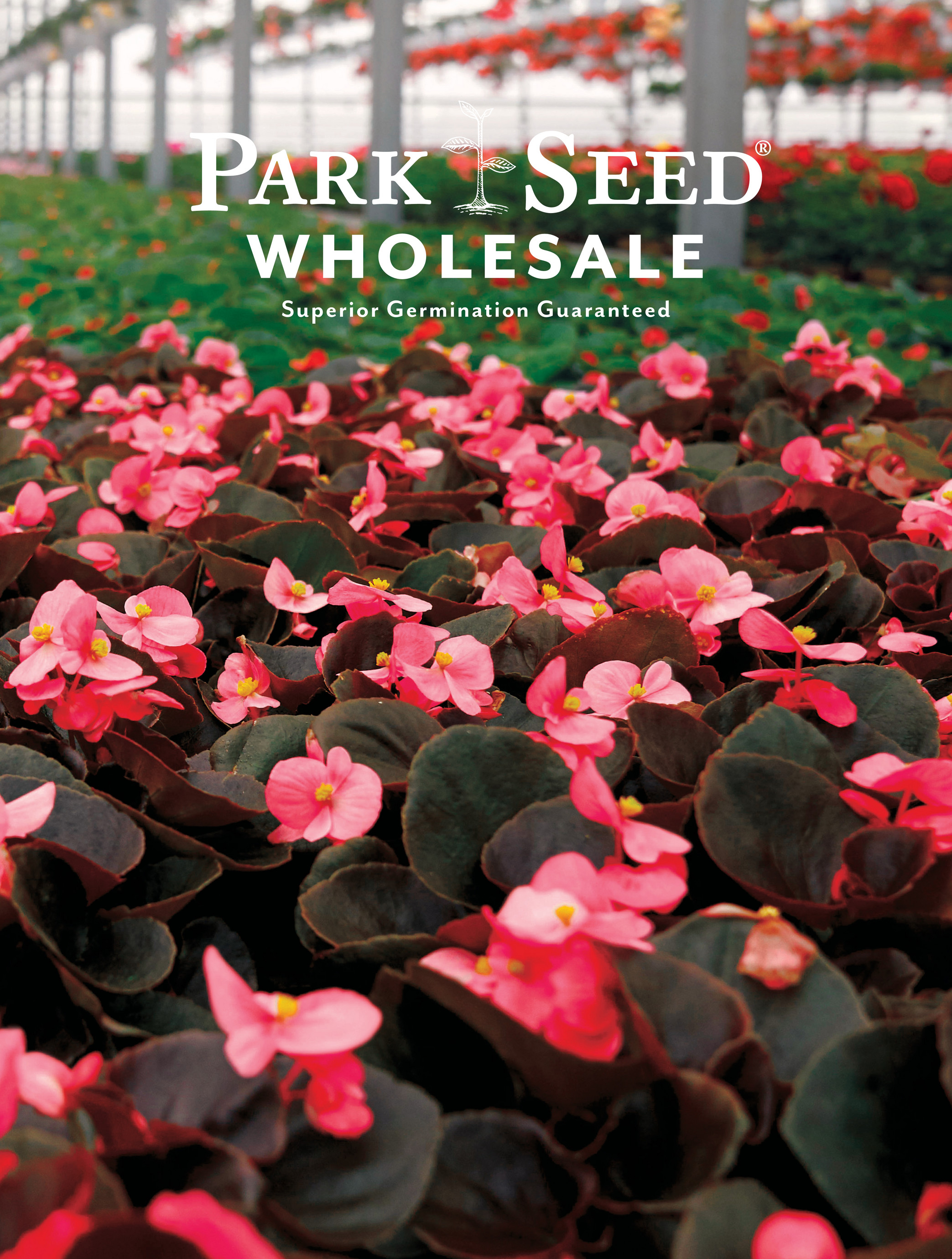 Park Seed Wholesale