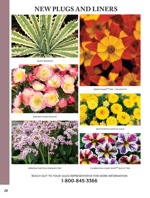 Park Seed - 2022-2023 Park Seed Wholesale Catalog - Page 10-11