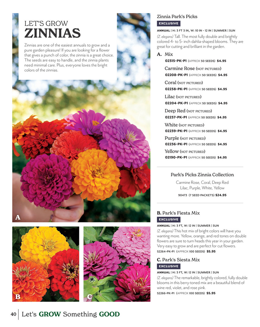 Parks Picks Deep Red Zinnia Seeds