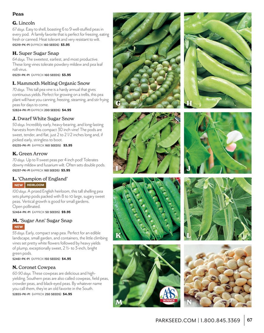 Park Seed - Park Seed 2023 Big Seed Spring Book - Super Sugar Snap Pea Seeds