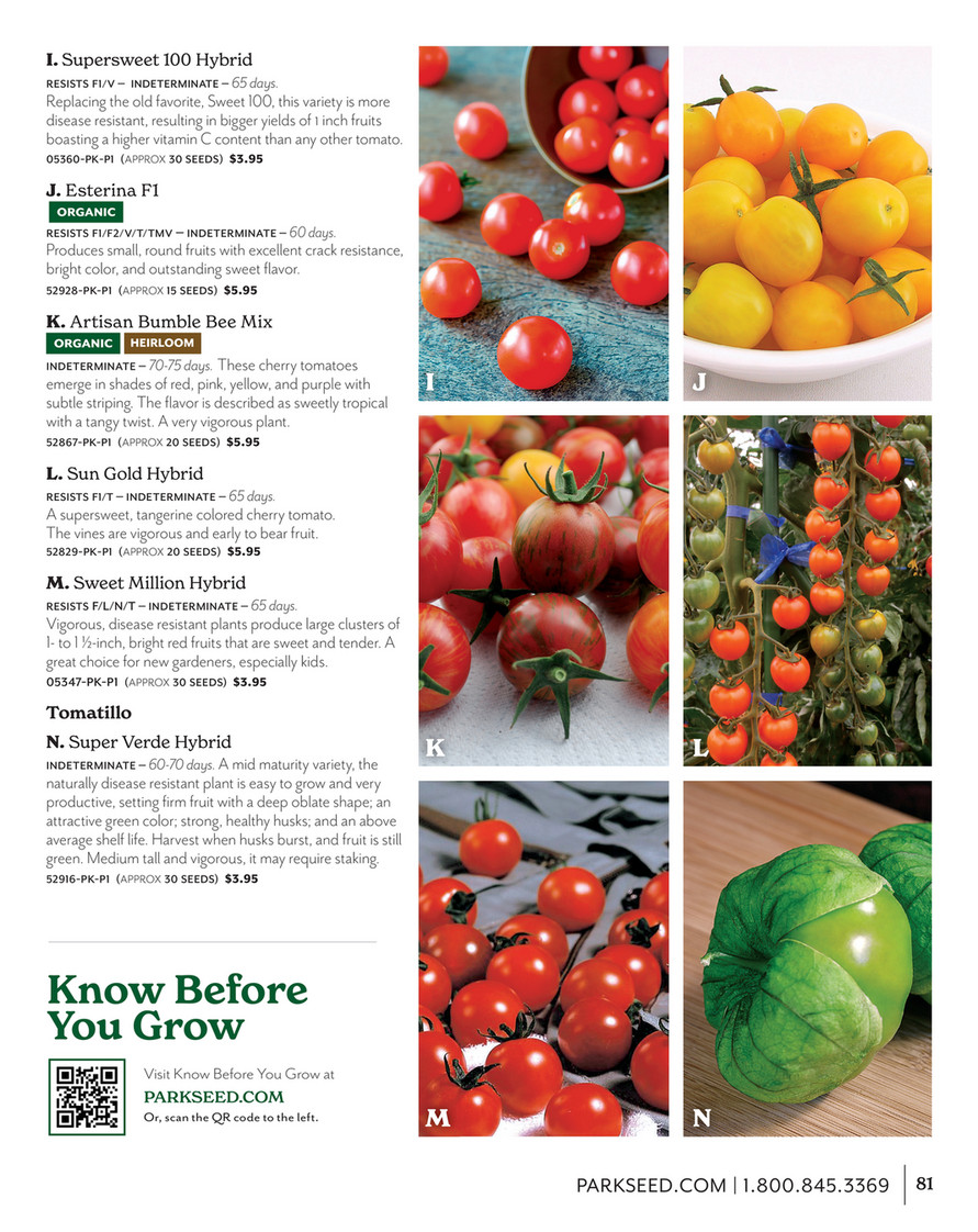 Tomato Seeds Variety list Rare Big Beefsteak Yellow Pink White Brandyw –  BmoreSpicy