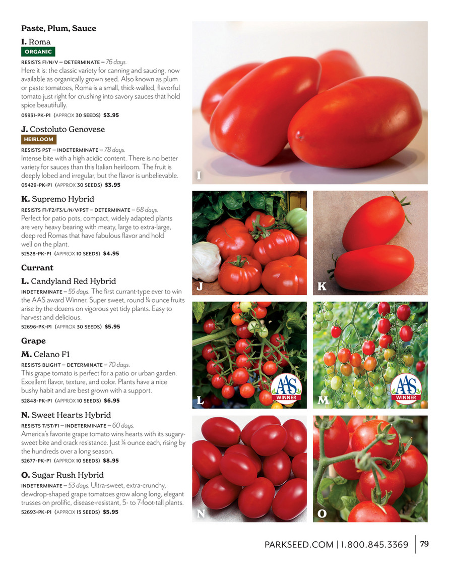 Chef's Choice Black Hybrid Tomato Seeds — Seeds 'n Such